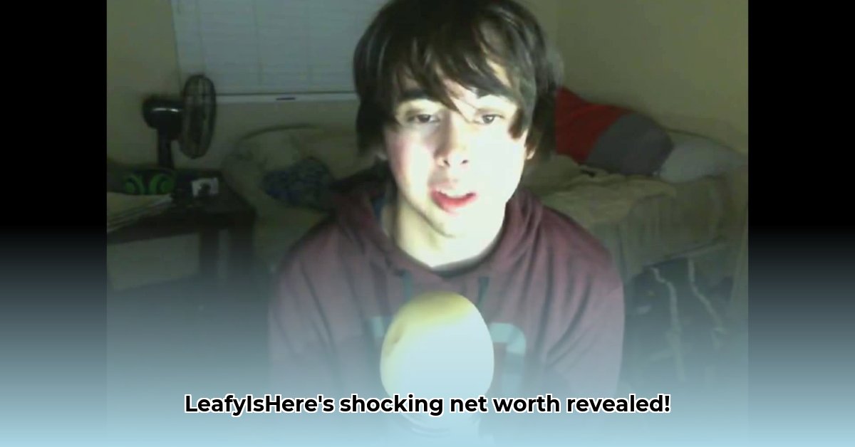 leafy-is-here-net-worth